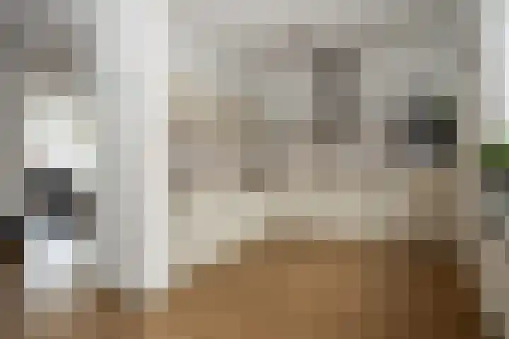 Noordkante 6 Oude Pekela thumbnail 10