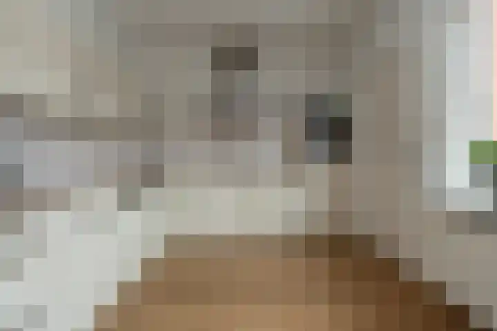 Noordkante 6 Oude Pekela thumbnail 11