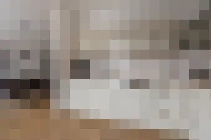 Noordkante 6 Oude Pekela thumbnail 12