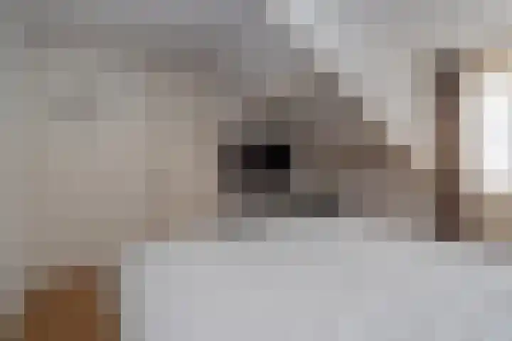 Noordkante 6 Oude Pekela thumbnail 20