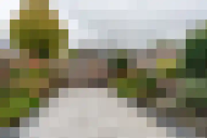 Noordkante 6 Oude Pekela thumbnail 34