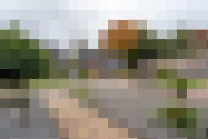 Noordkante 6 Oude Pekela thumbnail 38