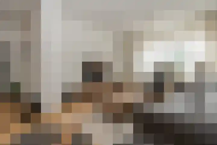 Noordkante 6 Oude Pekela thumbnail 5