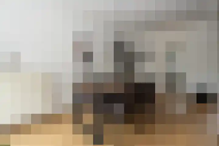 Noordkante 6 Oude Pekela thumbnail 8