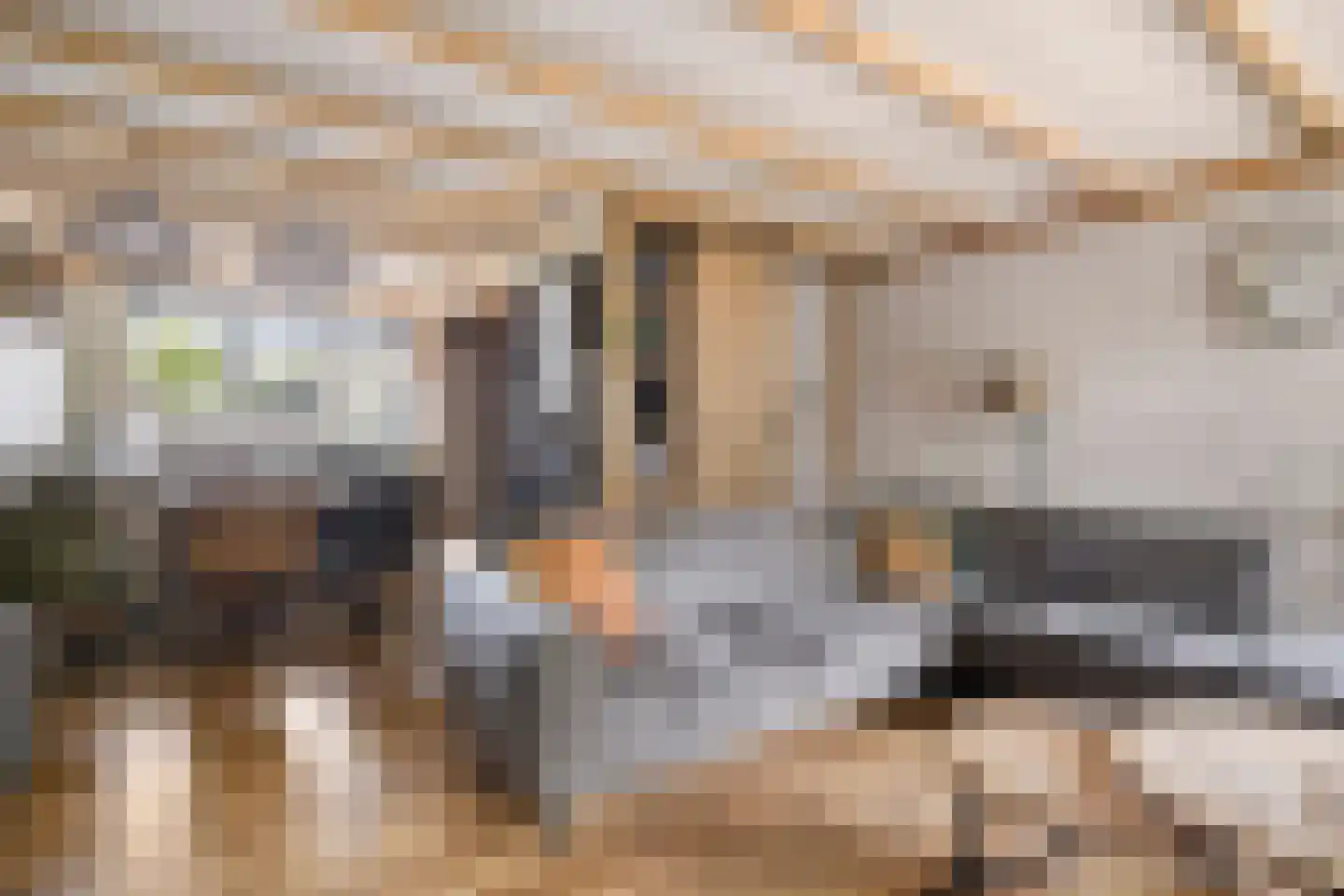 Noordkante 89 Oude Pekela thumbnail 12