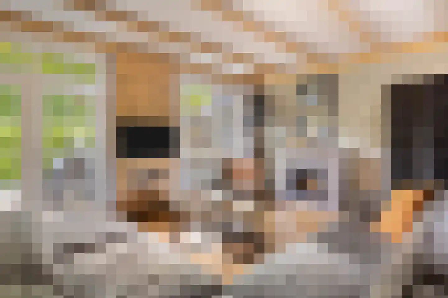 Noordkante 89 Oude Pekela thumbnail 13