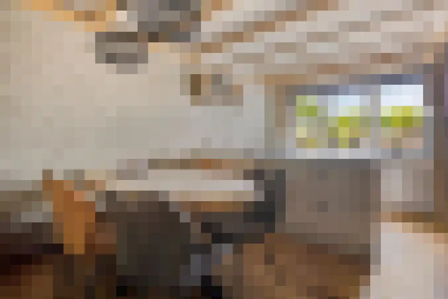 Noordkante 89 Oude Pekela thumbnail 14