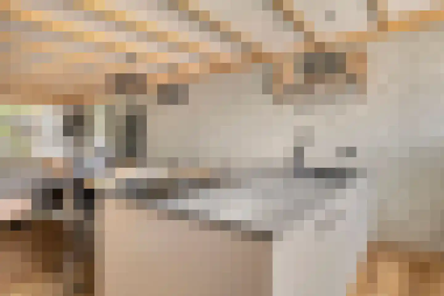 Noordkante 89 Oude Pekela thumbnail 17