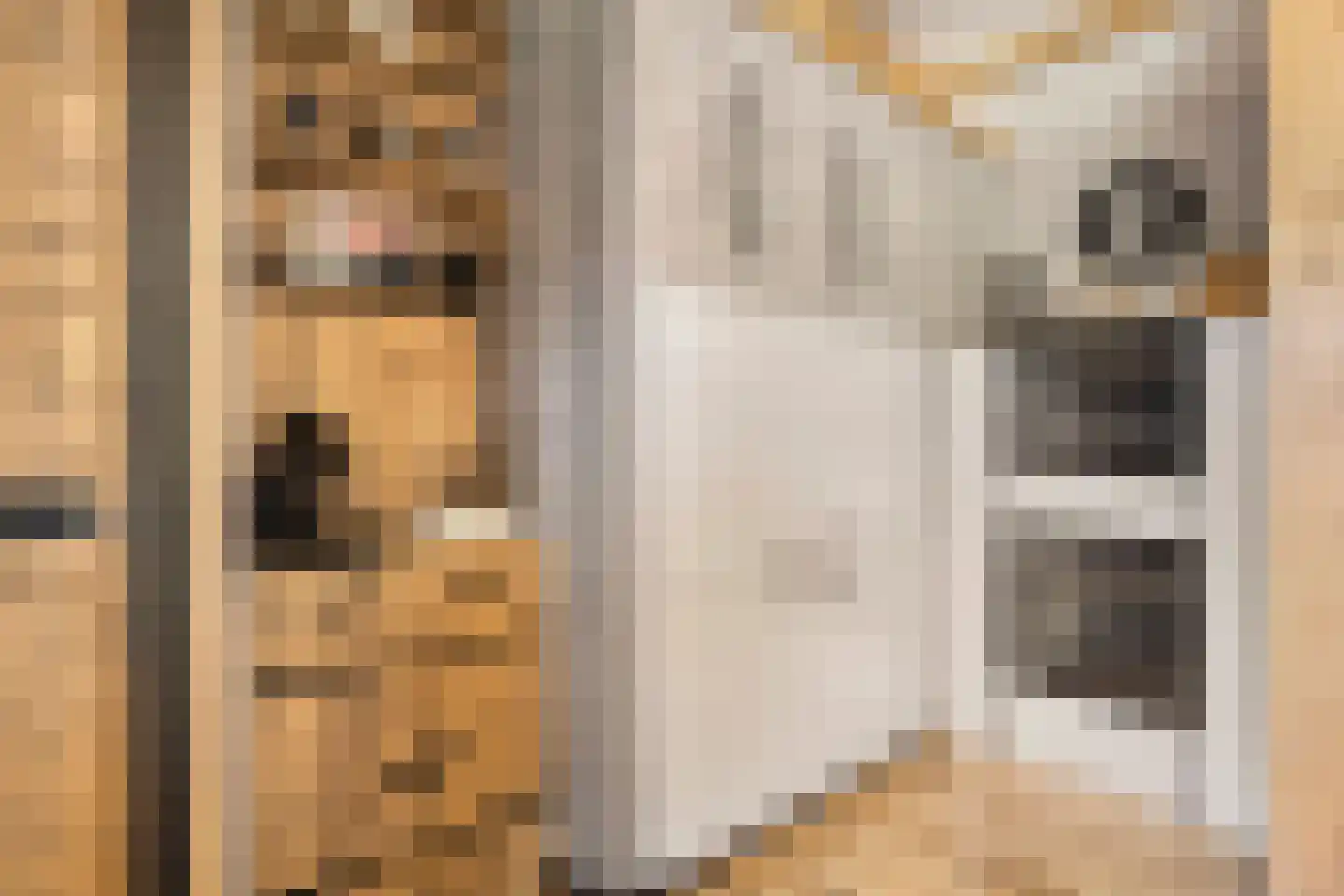 Noordkante 89 Oude Pekela thumbnail 19