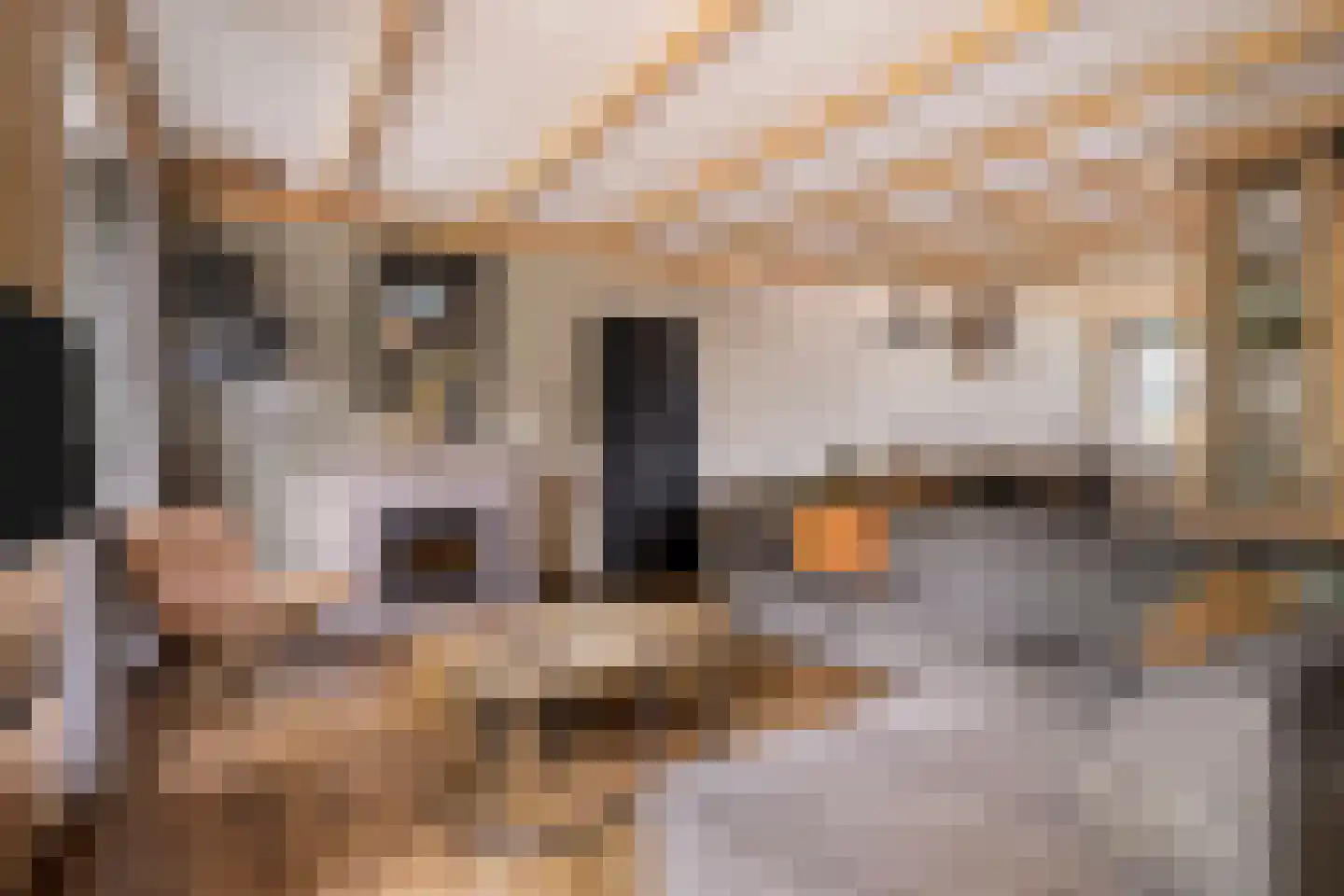 Noordkante 89 Oude Pekela foto 2