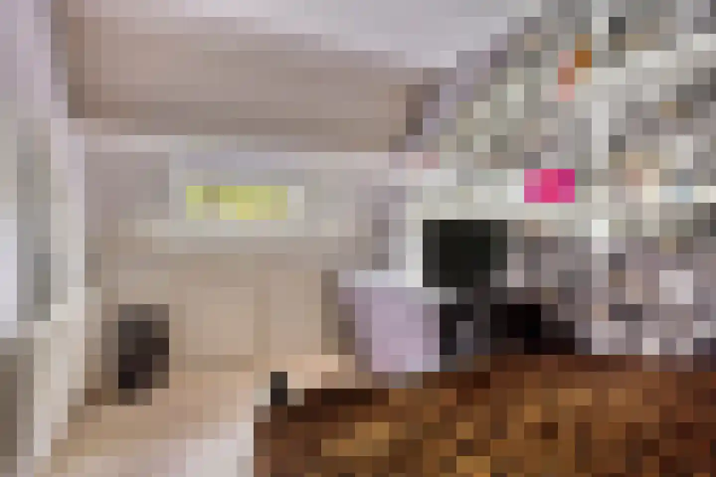Noordkante 89 Oude Pekela thumbnail 29