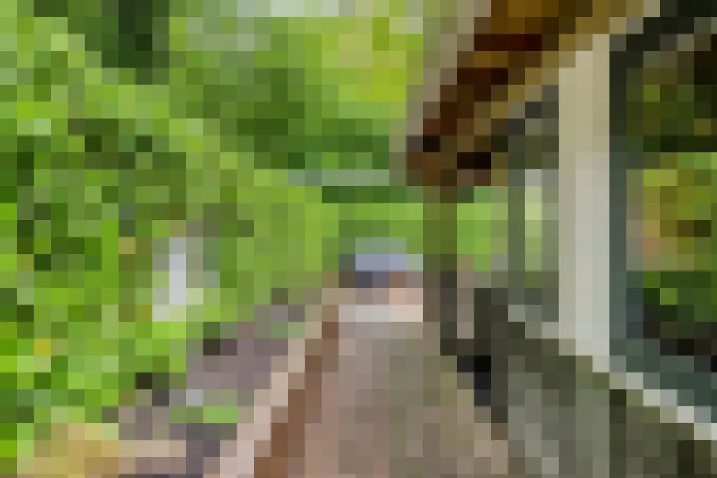 Noordkante 89 Oude Pekela thumbnail 40