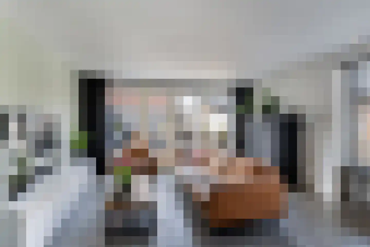 Noordkaper 15 Naaldwijk thumbnail 10