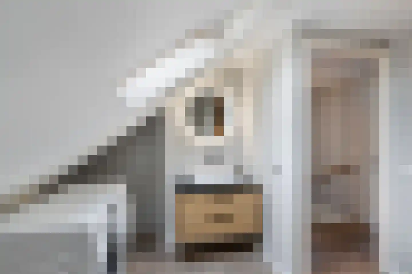 Noordkaper 15 Naaldwijk thumbnail 27