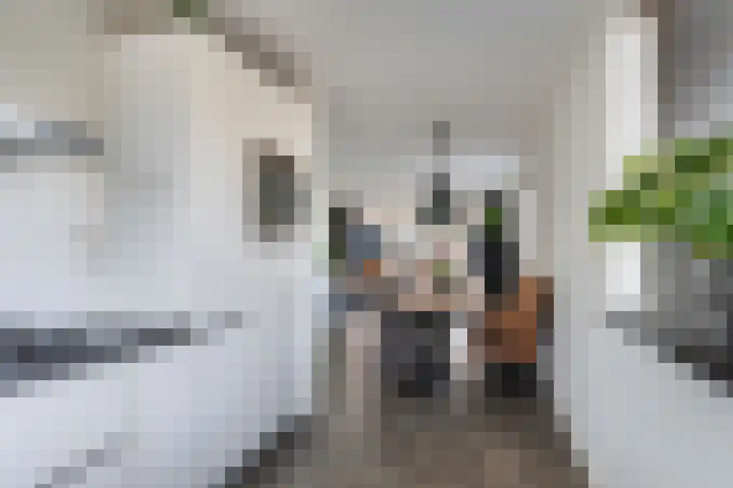 Noordkaper 15 Naaldwijk thumbnail 9