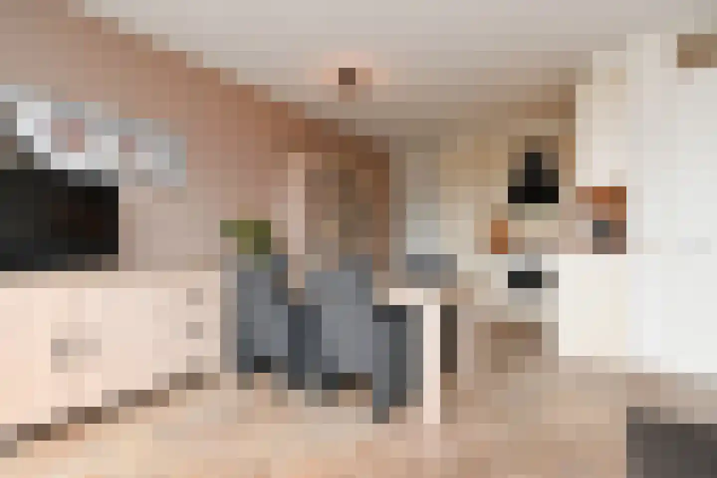 Noordkaper 2 Naaldwijk thumbnail 13