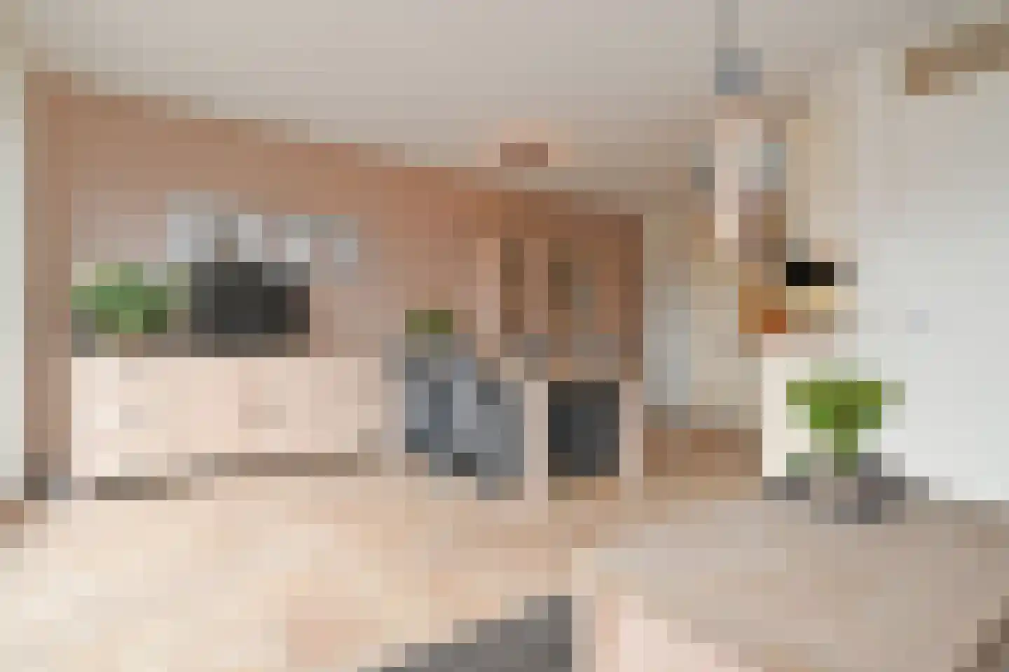 Noordkaper 2 Naaldwijk thumbnail 14