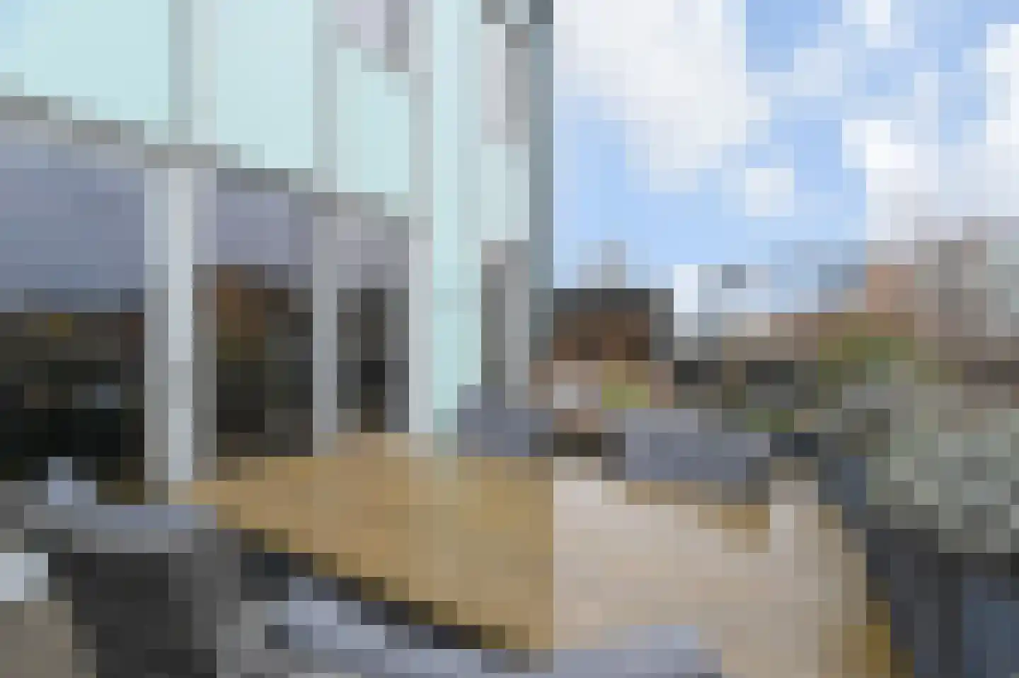 Noordkaper 2 Naaldwijk thumbnail 21