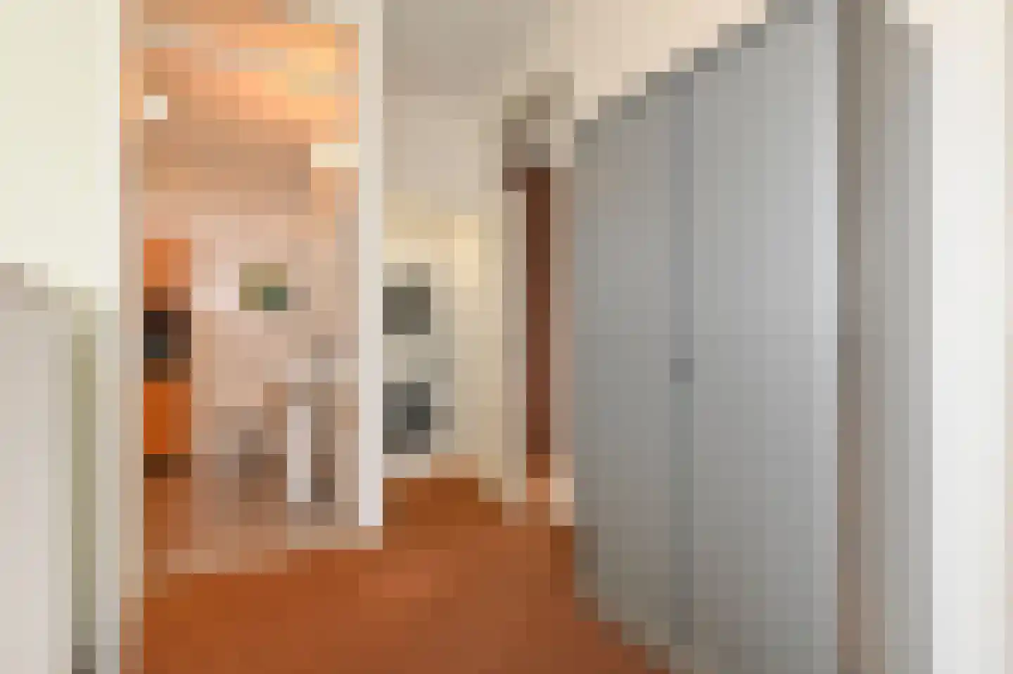 Noordkaper 2 Naaldwijk thumbnail 24