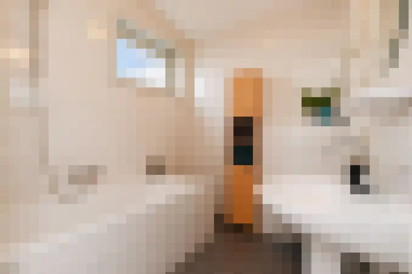 Noordkaper 2 Naaldwijk thumbnail 28