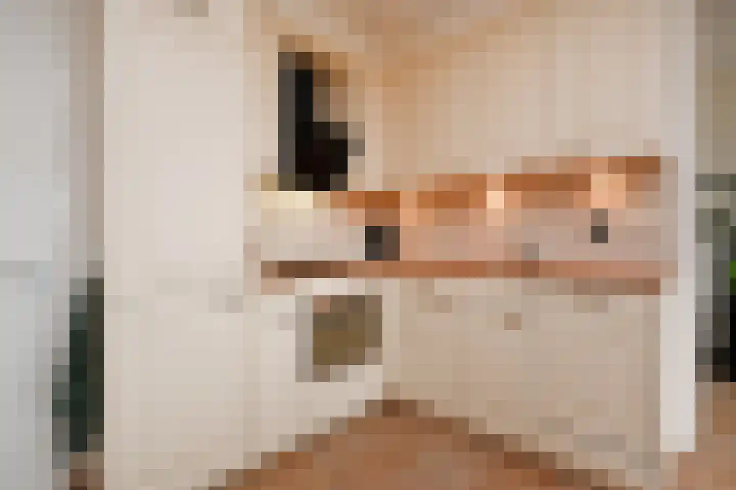 Noordkaper 2 Naaldwijk foto 3