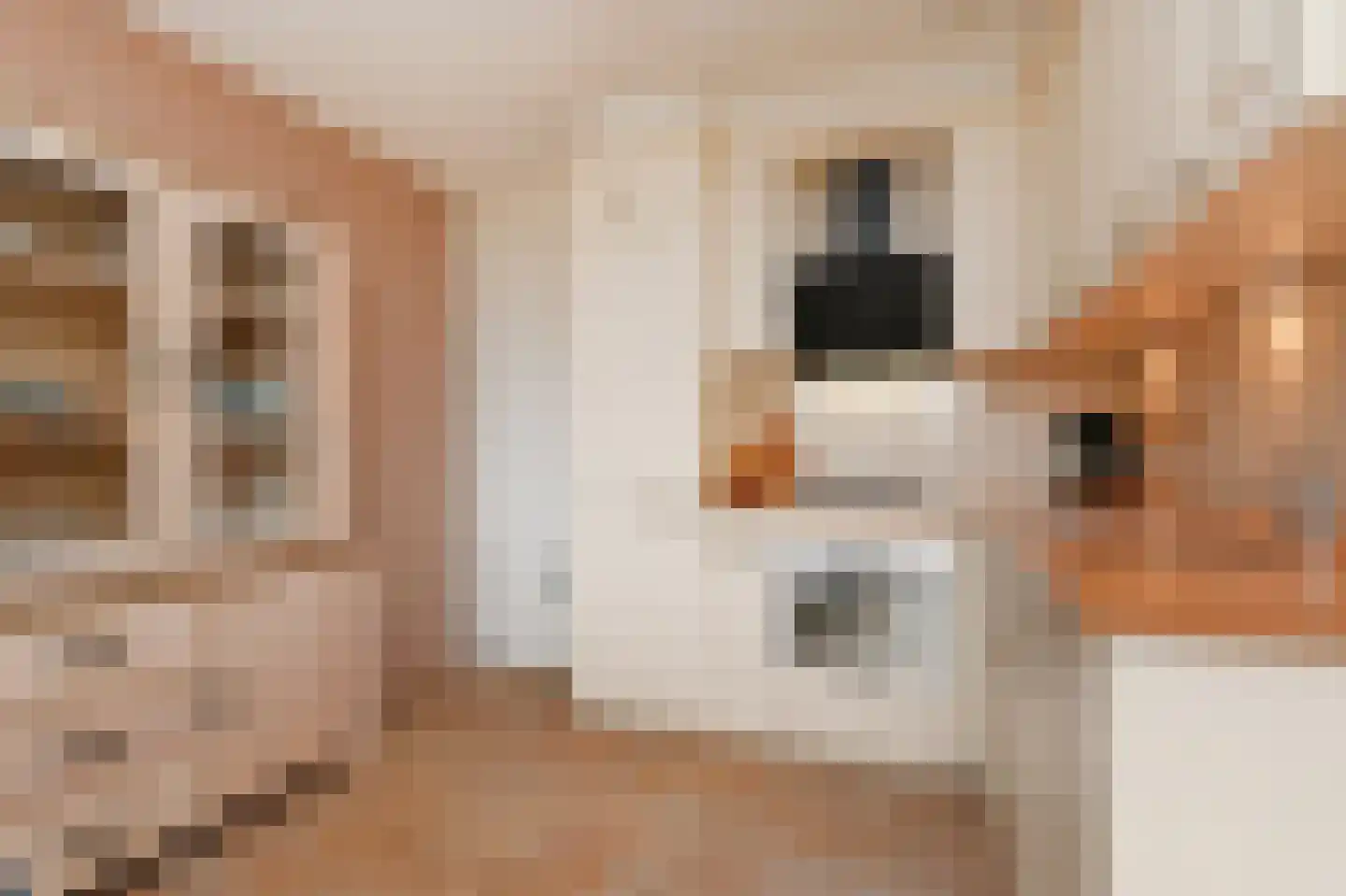 Noordkaper 2 Naaldwijk thumbnail 4