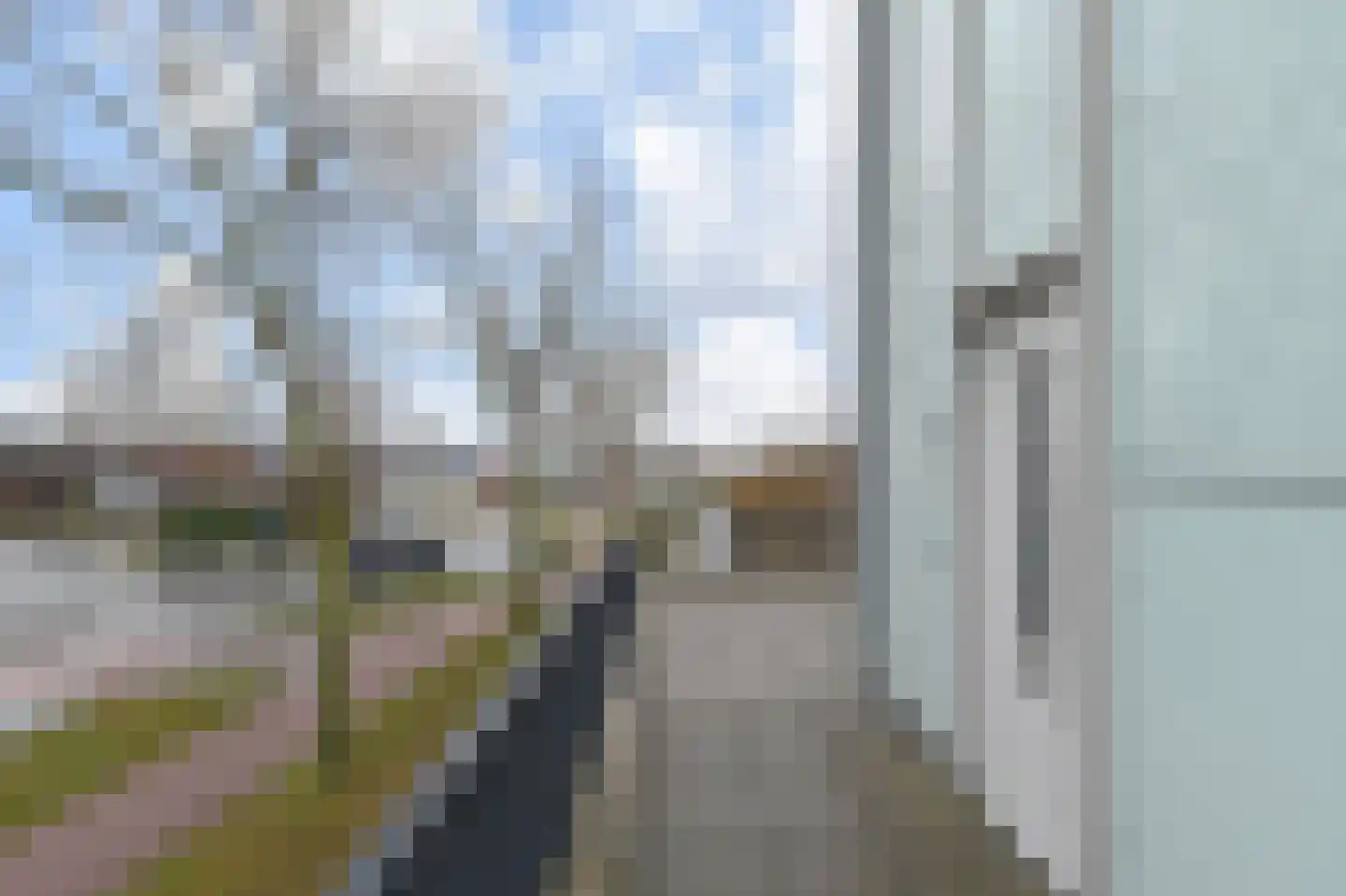 Noordkaper 2 Naaldwijk thumbnail 40