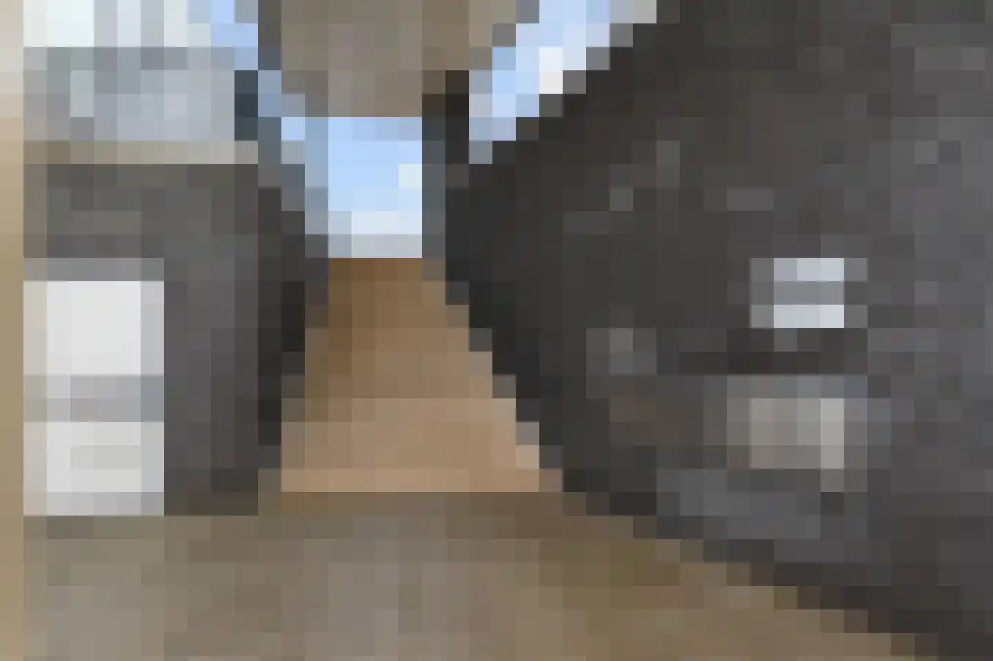 Noordkaper 2 Naaldwijk thumbnail 46