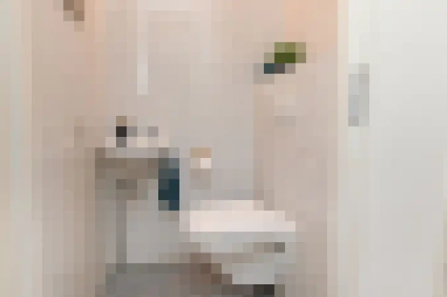 Noordkaper 2 Naaldwijk thumbnail 7