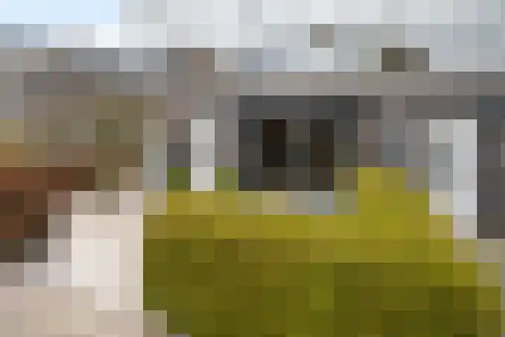 Noordkaper 30 Naaldwijk