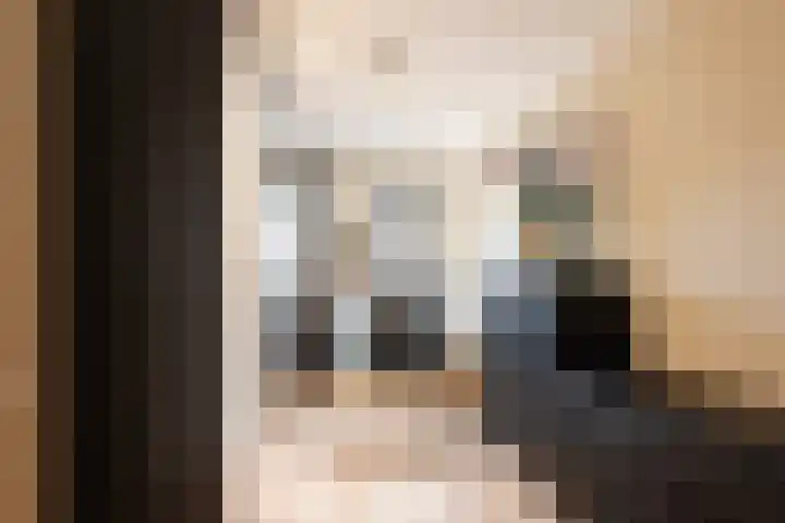 Noordkaper 30 Naaldwijk thumbnail 10