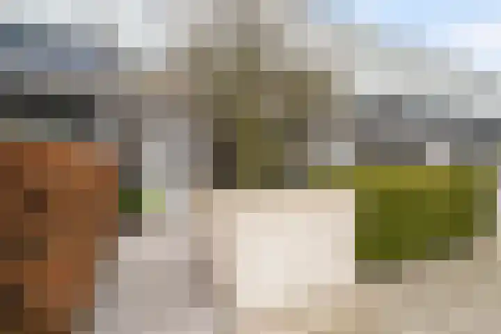 Noordkaper 30 Naaldwijk thumbnail 20