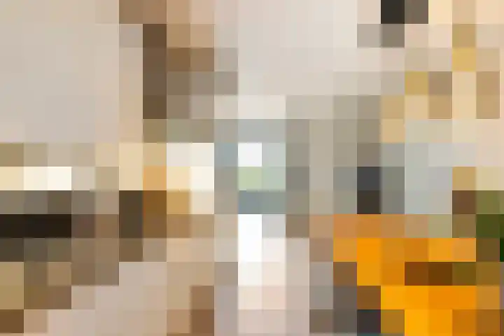 Noordkaper 30 Naaldwijk thumbnail 5