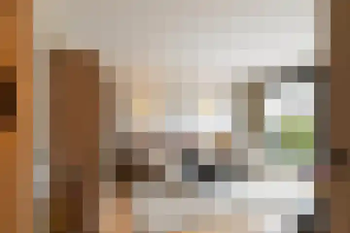Noordkaper 30 Naaldwijk thumbnail 6