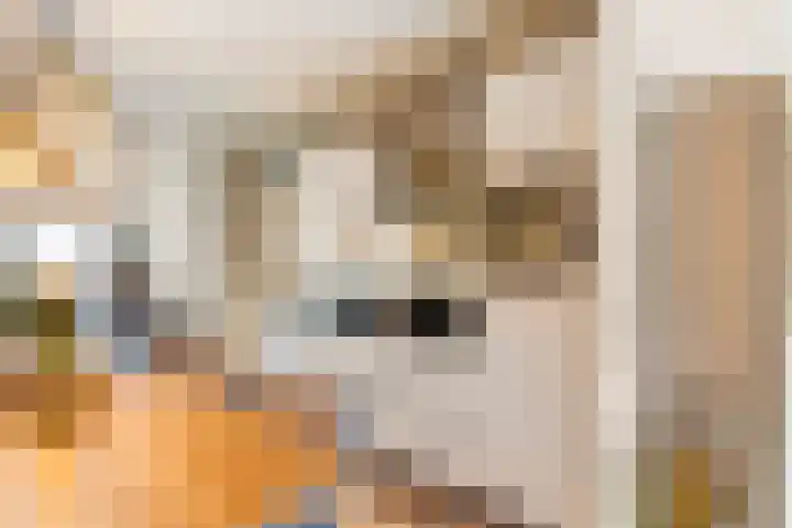Noordkaper 30 Naaldwijk thumbnail 8