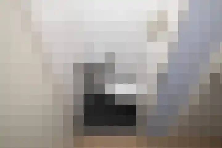 Noordkaper 80 Naaldwijk thumbnail 16