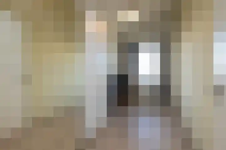 Noordkaper 80 Naaldwijk thumbnail 23