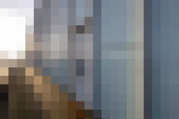 Noordkaper 80 Naaldwijk thumbnail 7
