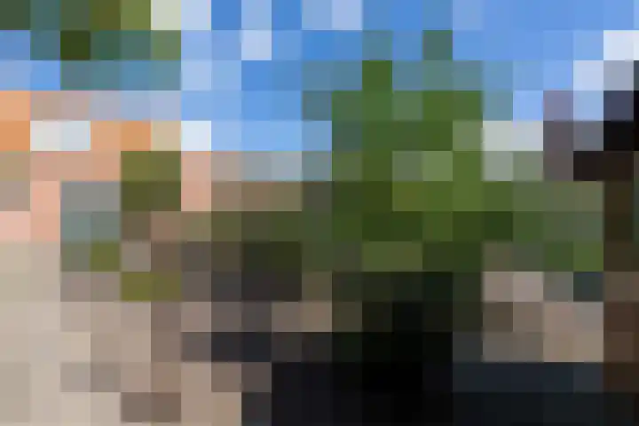 Noordkerkepad 10 Westkapelle thumbnail 24