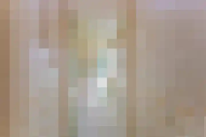 Noordkerkepad 11 Westkapelle thumbnail 12