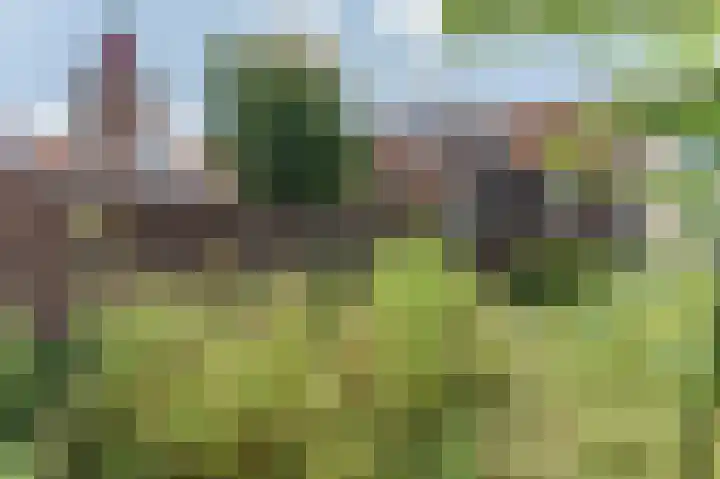 Noordkerkepad 11 Westkapelle thumbnail 15