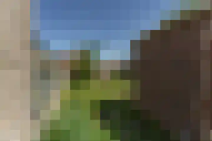 Noordkerkepad 11 Westkapelle thumbnail 17