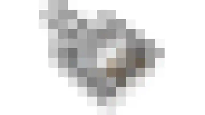 Noordkerkepad 11 Westkapelle thumbnail 5