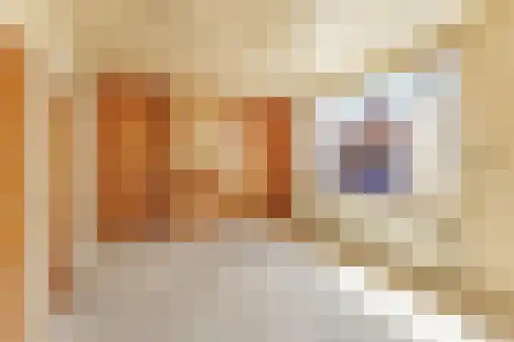 Noordkerkepad 11 Westkapelle thumbnail 7