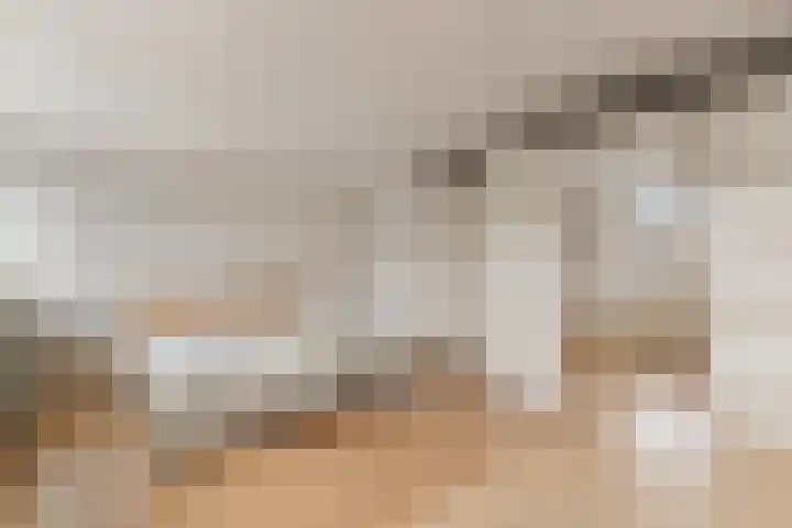 Noordkil 38 Papendrecht thumbnail 16