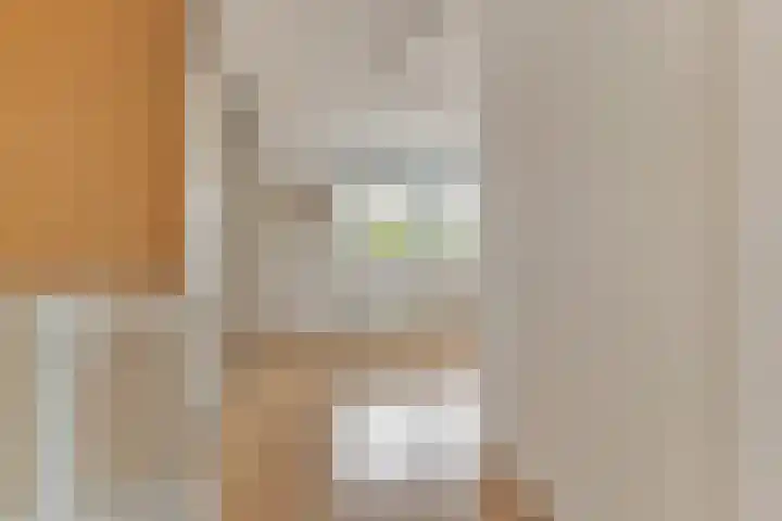 Noordkil 38 Papendrecht thumbnail 21