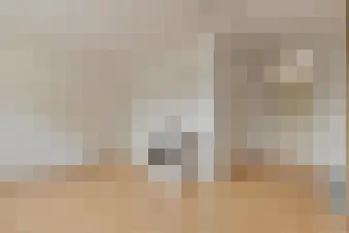 Noordkil 38 Papendrecht thumbnail 23