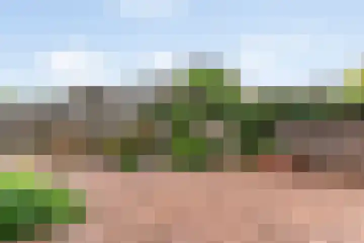 Noordkil 38 Papendrecht thumbnail 30