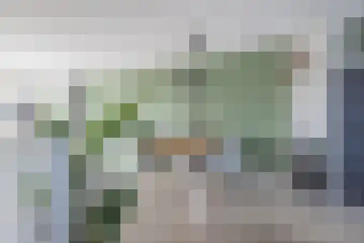 Noordkil 54 Papendrecht thumbnail 13