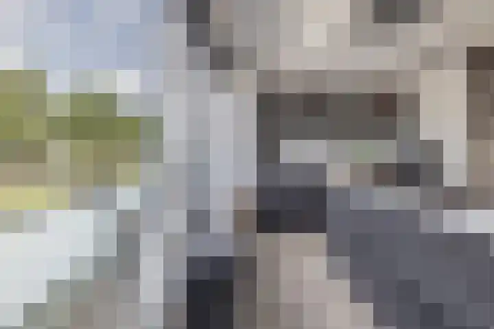 Noordkil 54 Papendrecht thumbnail 18